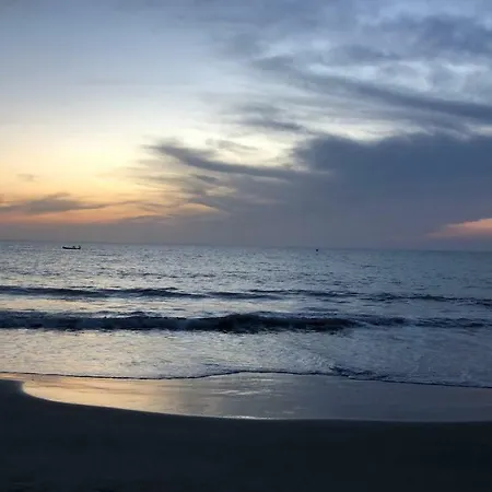 Beach Bungalows Hotel 3*